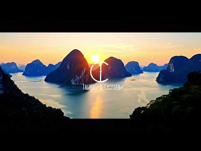 Vietnam Reisposter